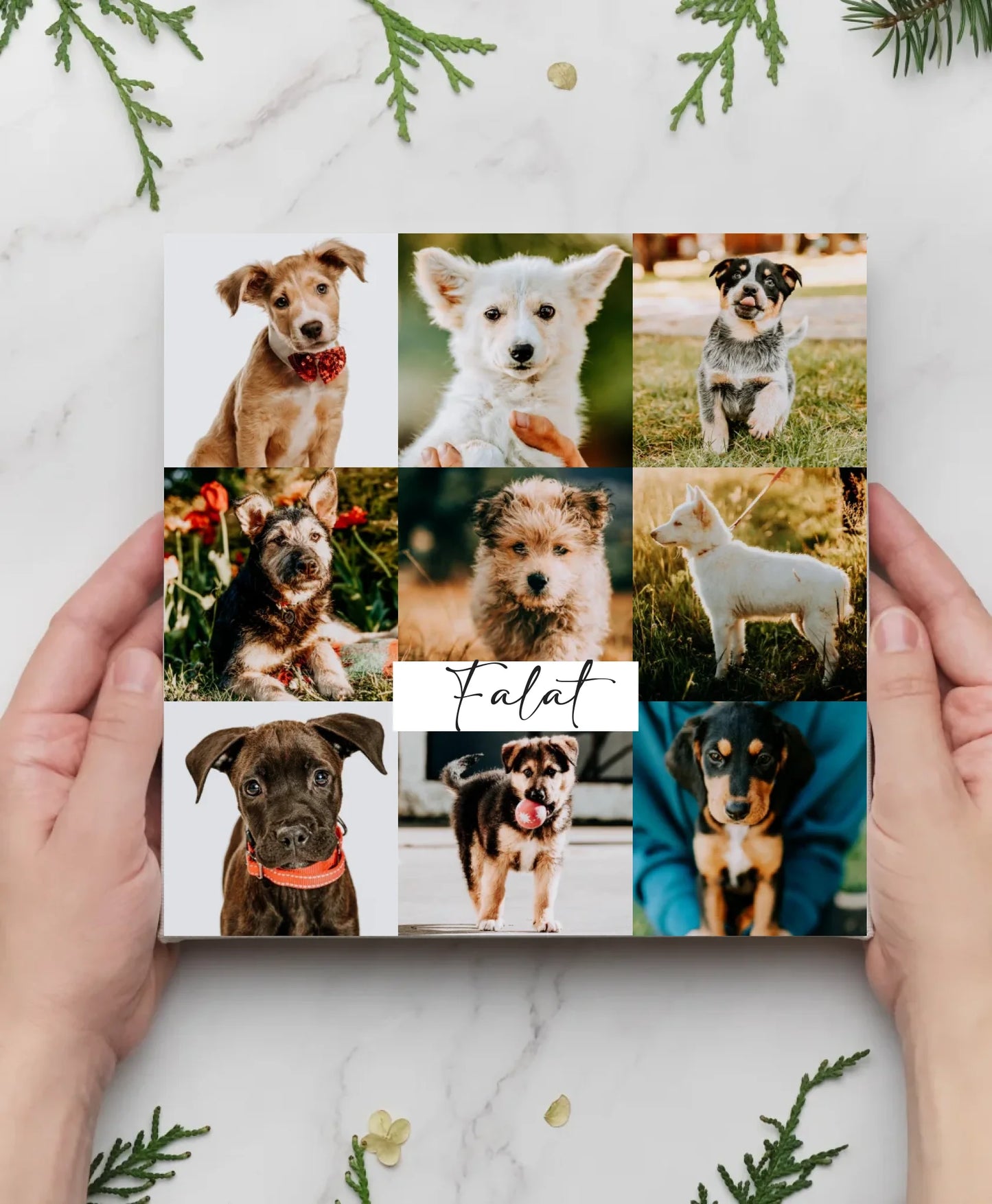 hands-with-blank-canvas-christmas-concept-2023-11-27-05-17-00-utc