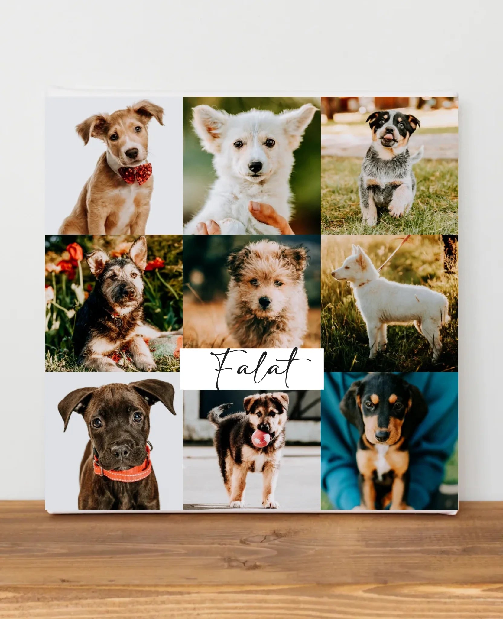 blank-canvas-frame-2023-11-27-05-01-35-utc