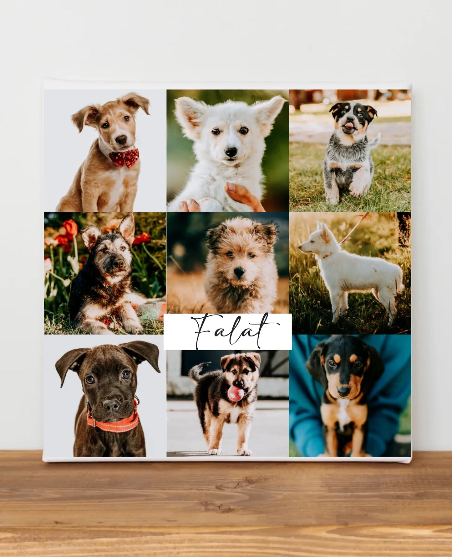 blank-canvas-frame-2023-11-27-05-01-35-utc