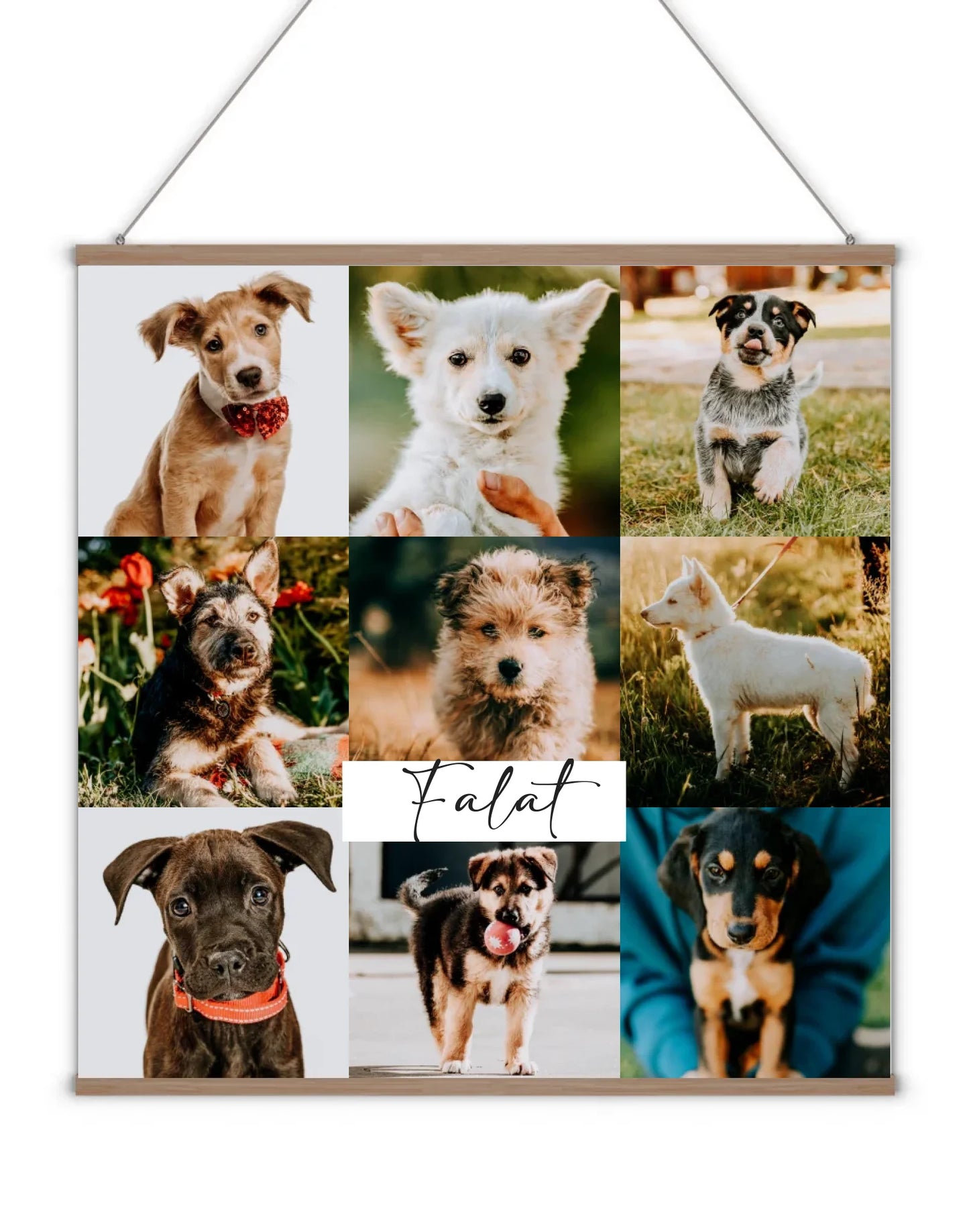 fugg-88-negyzet-cropped