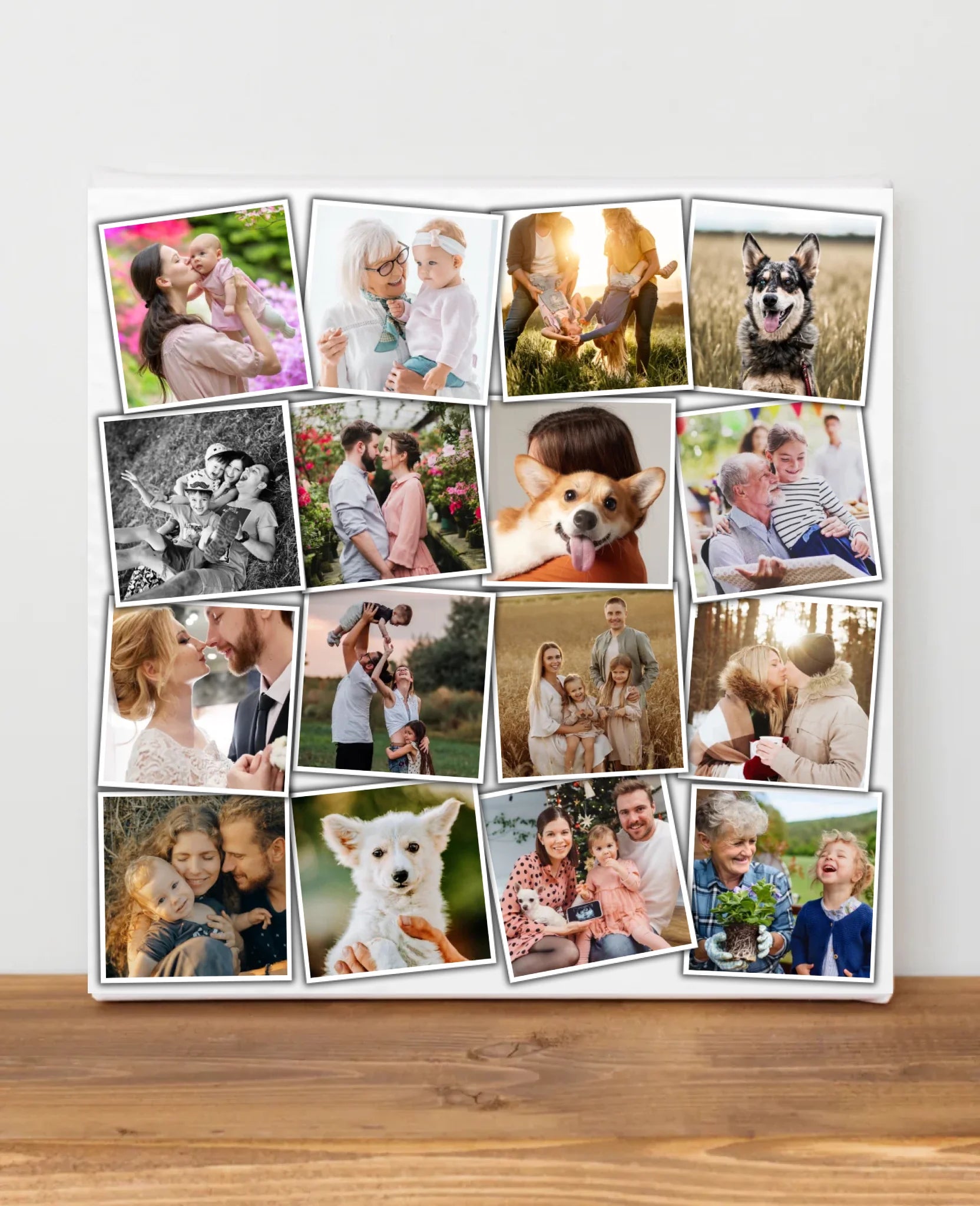 blank-canvas-frame-2023-11-27-05-01-35-utc