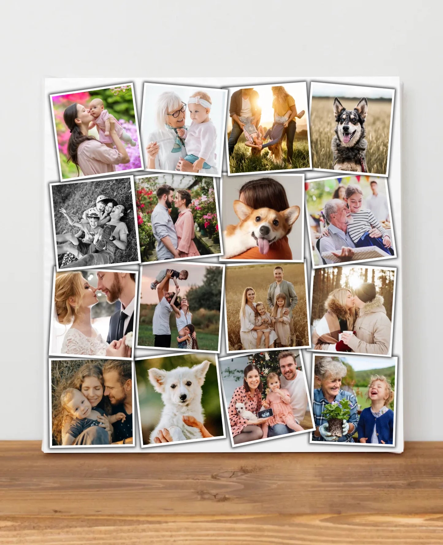 blank-canvas-frame-2023-11-27-05-01-35-utc